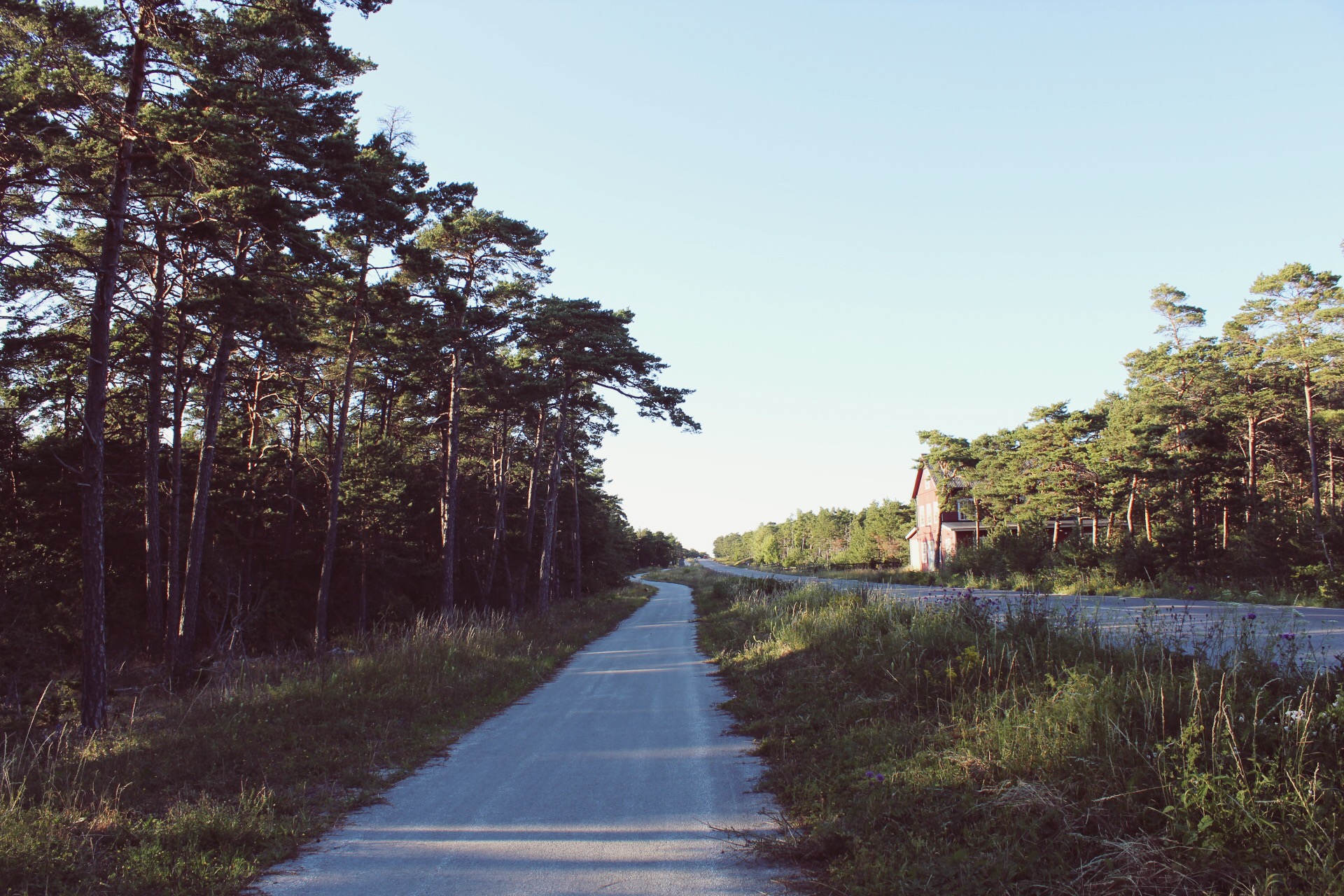 Cycling Gotland